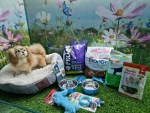 חבילה מוצרים לגורים לכלב קטן-מבצע