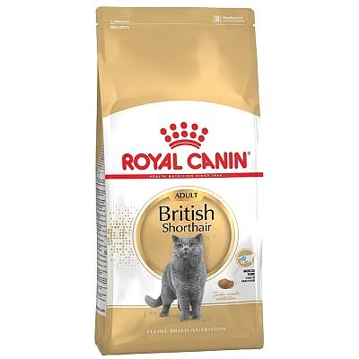 רויאל קנין לחתול ברטי Royal Canin קג 4