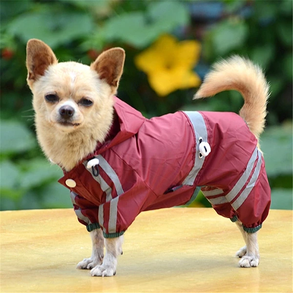 מעיל גשם ניילון לכלבים בכל הגדלים