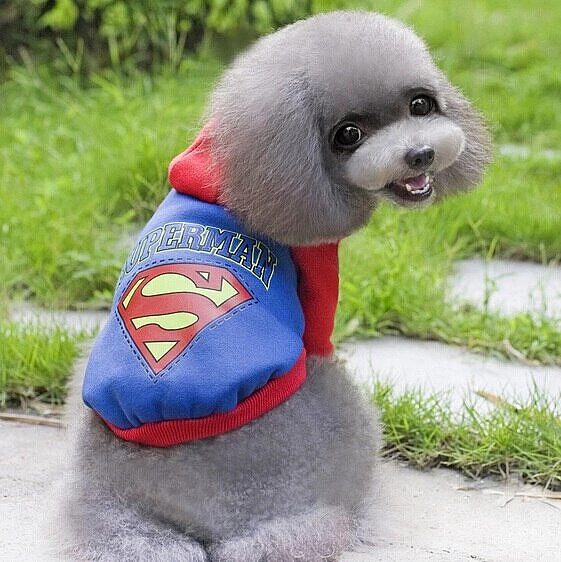 תחפושת לכלב סופרמן