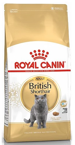רויאל קנין בוגר בריטי 4 ק"ג לחתול Royal Canin british shorthair 4 kg