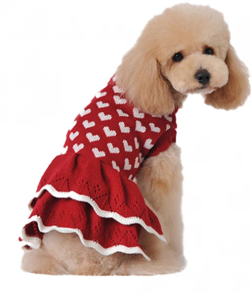 שמלה סוודר לכלבה קטנה