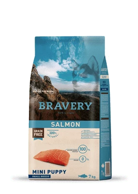 בריוורי סלמון גור כלבים גזע קטן היפואלרגני 2 קג Bravery Puppy, Salmon