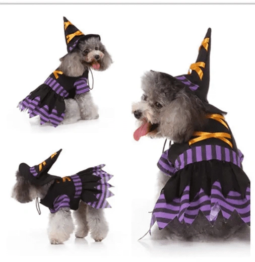 תחפושת לכלבים מכשפה סגולה witch costume