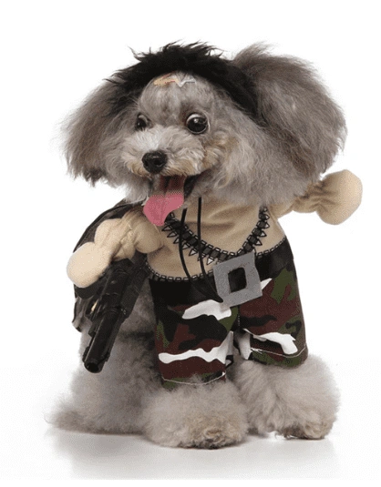 תחפושת לכלבים חייל מנומר soldier costume