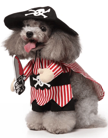 תחפושת לכלבים פירט עם כובע Pirat costume